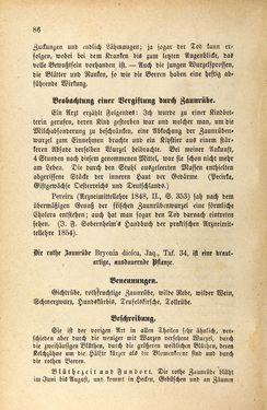 Bild der Seite - 86 - in Die Giftgewächse der österreichischen Alpenländer