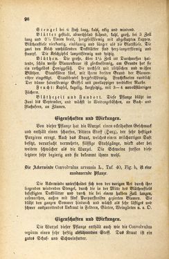 Image of the Page - 98 - in Die Giftgewächse der österreichischen Alpenländer