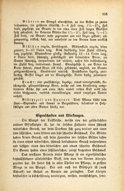 Image of the Page - 115 - in Die Giftgewächse der österreichischen Alpenländer