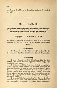 Bild der Seite - 164 - in Die Giftgewächse der österreichischen Alpenländer