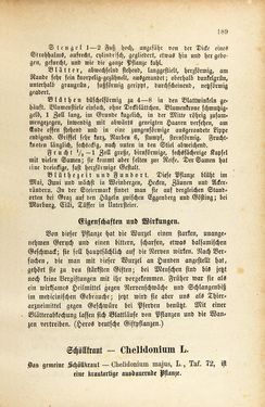 Image of the Page - 189 - in Die Giftgewächse der österreichischen Alpenländer