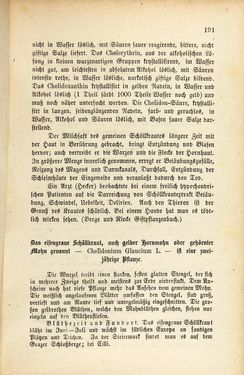 Bild der Seite - 191 - in Die Giftgewächse der österreichischen Alpenländer