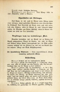 Bild der Seite - 207 - in Die Giftgewächse der österreichischen Alpenländer
