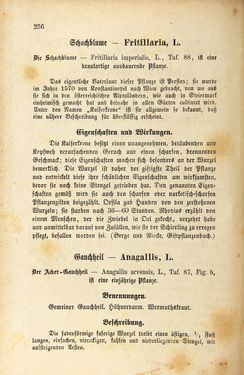 Image of the Page - 236 - in Die Giftgewächse der österreichischen Alpenländer