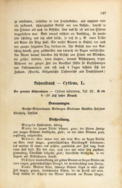 Image of the Page - 247 - in Die Giftgewächse der österreichischen Alpenländer