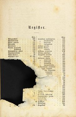 Image of the Page - 253 - in Die Giftgewächse der österreichischen Alpenländer