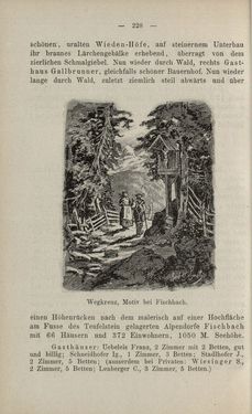Bild der Seite - 228 - in Die nordöstliche Steiermark - Eine Wanderung durch vergessene Lande