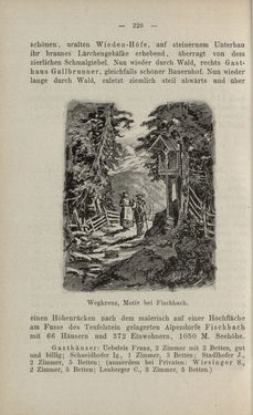 Image of the Page - 228 - in Die nordöstliche Steiermark - Eine Wanderung durch vergessene Lande