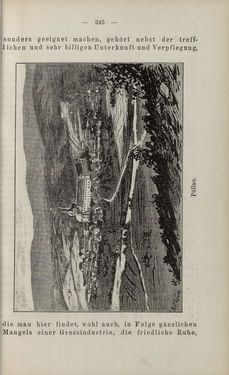 Image of the Page - 245 - in Die nordöstliche Steiermark - Eine Wanderung durch vergessene Lande