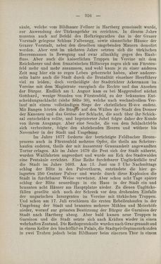 Image of the Page - 316 - in Die nordöstliche Steiermark - Eine Wanderung durch vergessene Lande