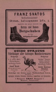 Image of the Page - XXIV - in Die nordöstliche Steiermark - Eine Wanderung durch vergessene Lande