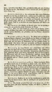 Bild der Seite - 88 - in Die Süddeutsche Küche - auf ihrem gegenwärtigen Standpunkte