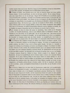 Image of the Page - 16 - in Die Votivkirche in Wien - Denkschrift des Baucomités