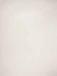 Bild der Seite - (00000114) - in Die Votivkirche in Wien - Denkschrift des Baucomités