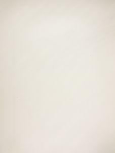 Bild der Seite - (00000116) - in Die Votivkirche in Wien - Denkschrift des Baucomités