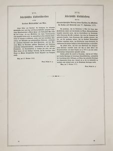 Image of the Page - 51/52  - in Die Votivkirche in Wien - Denkschrift des Baucomités