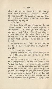 Bild der Seite - 300 - in Die Waffen nieder! - Eine Lebensgeschichte von Bertha von Suttner, Band 2