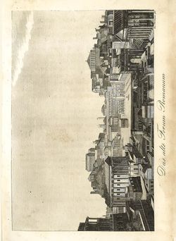 Image of the Page - 13 - in Die Wundermappe - Sämmtliche Kunst und Natur- Wunder des ganzen Erdballs, Volume 1
