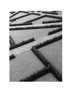 Image of the Page - 105 - in Was macht die Digitalisierung mit den Hochschulen? - Einwürfe und Provokationen