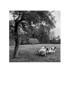 Image of the Page - 139 - in Was macht die Digitalisierung mit den Hochschulen? - Einwürfe und Provokationen