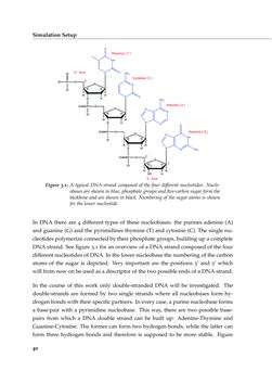 Bild der Seite - 40 - in Charge Transport in DNA - Insights from Simulations