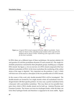 Image of the Page - 40 - in Charge Transport in DNA - Insights from Simulations