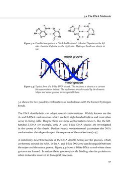 Image of the Page - 41 - in Charge Transport in DNA - Insights from Simulations