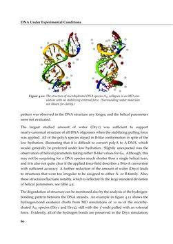 Bild der Seite - 60 - in Charge Transport in DNA - Insights from Simulations