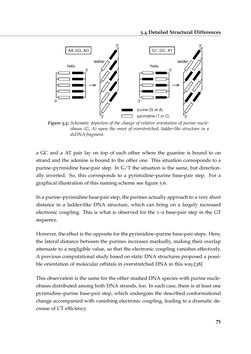 Bild der Seite - 75 - in Charge Transport in DNA - Insights from Simulations