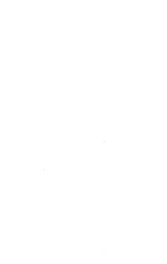 Image of the Page - (000041) - in Palacký's Politisches Vermächtniss