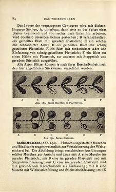 Bild der Seite - 84 - in Encyclopædie der weiblichen Handarbeiten