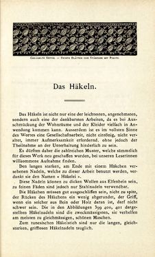 Image of the Page - 231 - in Encyclopædie der weiblichen Handarbeiten