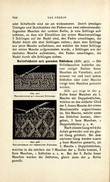 Image of the Page - 244 - in Encyclopædie der weiblichen Handarbeiten