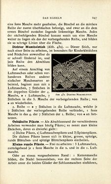 Image of the Page - 247 - in Encyclopædie der weiblichen Handarbeiten