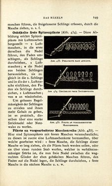 Bild der Seite - 249 - in Encyclopædie der weiblichen Handarbeiten