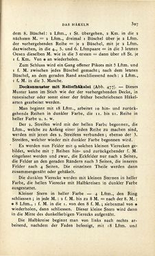 Image of the Page - 307 - in Encyclopædie der weiblichen Handarbeiten