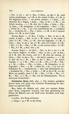 Bild der Seite - 320 - in Encyclopædie der weiblichen Handarbeiten