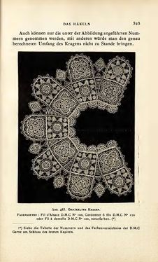 Image of the Page - 323 - in Encyclopædie der weiblichen Handarbeiten