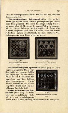 Image of the Page - 493 - in Encyclopædie der weiblichen Handarbeiten