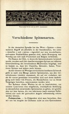 Bild der Seite - 503 - in Encyclopædie der weiblichen Handarbeiten