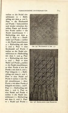 Image of the Page - 519 - in Encyclopædie der weiblichen Handarbeiten