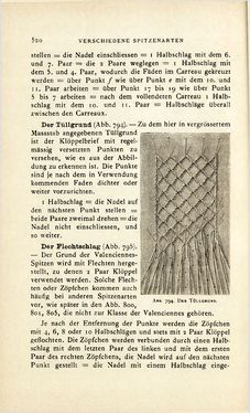 Image of the Page - 520 - in Encyclopædie der weiblichen Handarbeiten