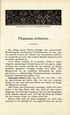 Image of the Page - 549 - in Encyclopædie der weiblichen Handarbeiten