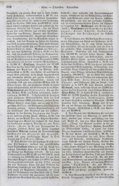 Image of the Page - 310 - in Neueste Erdbeschreibung und Staatenkunde - oder geographisch - statistisch - historischs Handbuch