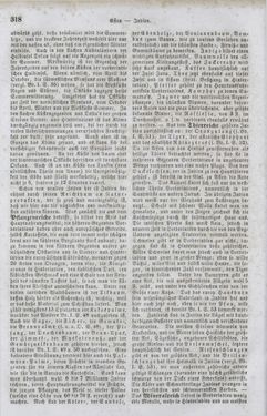 Image of the Page - 318 - in Neueste Erdbeschreibung und Staatenkunde - oder geographisch - statistisch - historischs Handbuch