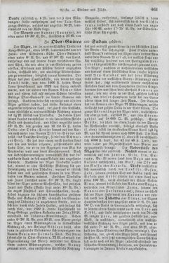 Image of the Page - 461 - in Neueste Erdbeschreibung und Staatenkunde - oder geographisch - statistisch - historischs Handbuch