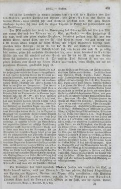 Image of the Page - 481 - in Neueste Erdbeschreibung und Staatenkunde - oder geographisch - statistisch - historischs Handbuch