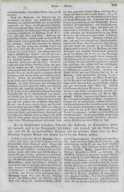 Image of the Page - 519 - in Neueste Erdbeschreibung und Staatenkunde - oder geographisch - statistisch - historischs Handbuch