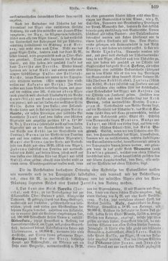 Image of the Page - 519 - in Neueste Erdbeschreibung und Staatenkunde - oder geographisch - statistisch - historischs Handbuch