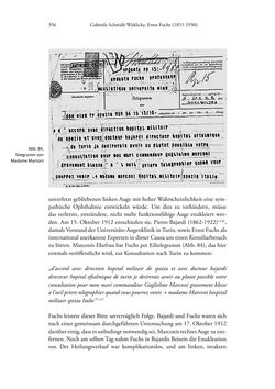 Image of the Page - 356 - in Ernst Fuchs (1851-1930) - und die Weltgeltung der Wiener Ophthalmologischen Schule um 1900